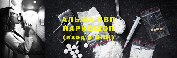 гашик Баксан