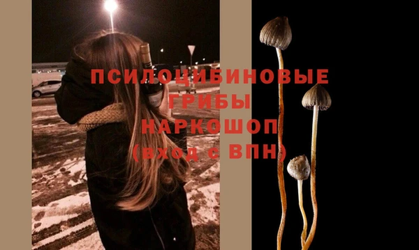 apvp Балабаново