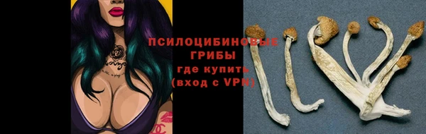 бошки Арсеньев