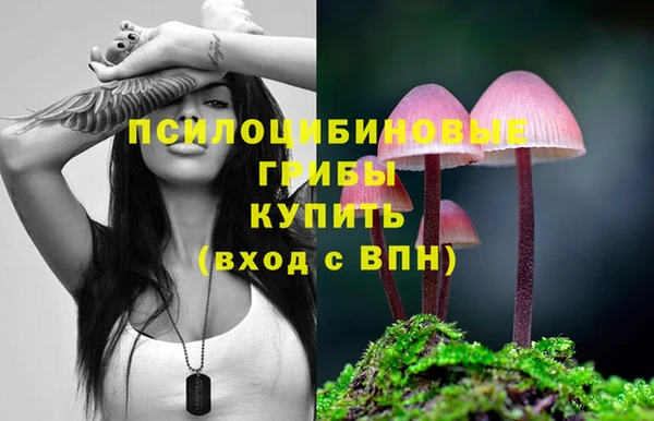 apvp Балабаново