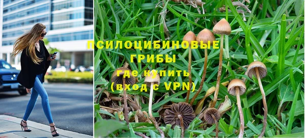 мет Балахна