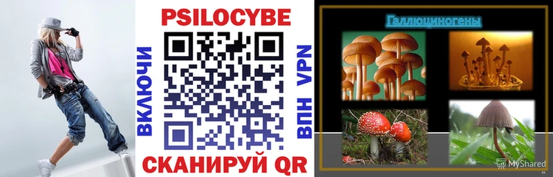 кракен   где можно купить   Белинский  Галлюциногенные грибы Psilocybe 